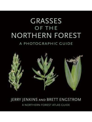 Grasses of the Northern Forest A Photographic Guide - The Northern Forest Atlas Guides