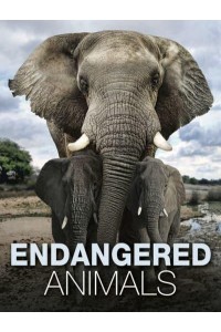 Endangered Animals - Animals