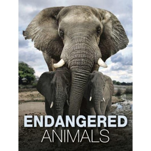 Endangered Animals - Animals