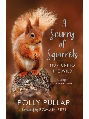 A Scurry of Squirrels Nurturing the Wild