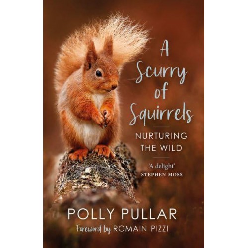 A Scurry of Squirrels Nurturing the Wild