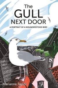 The Gull Next Door A Portrait of a Misunderstood Bird - Wild Nature Press