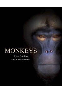 Monkeys Apes, Gorillas and Other Primates - Animals