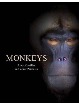 Monkeys Apes, Gorillas and Other Primates - Animals