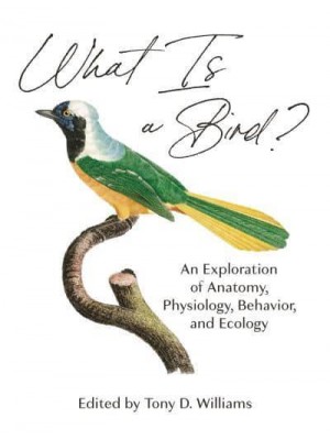 What Is a Bird? An Exploration of Anatomy, Physiology, Behavior, and Ecology