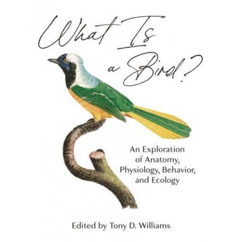 What Is a Bird? An Exploration of Anatomy, Physiology, Behavior, and Ecology
