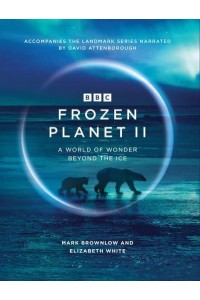 Frozen Planet II A World of Wonder Beyond the Ice