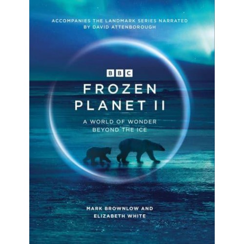 Frozen Planet II A World of Wonder Beyond the Ice
