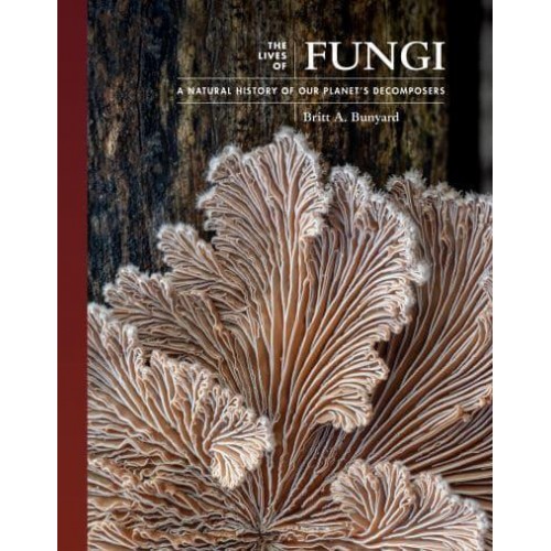 The Lives of Fungi A Natural History of Our Planet's Decomposers - The Lives of the Natural World