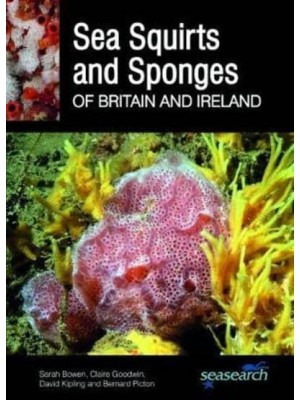 Sea Squirts and Sponges of Britain and Ireland - Seasearch Guides