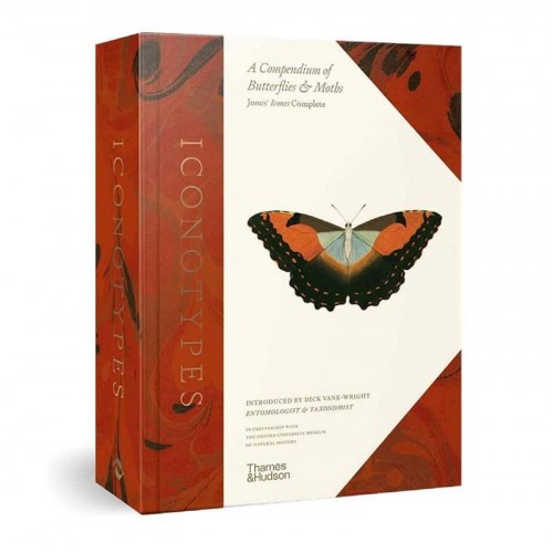 Iconotypes A Compendium of Butterflies & Moths, or, Jones's Icones Complete : An Enhanced Facsimile