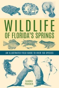 Wildlife of Florida's Springs An Illustrated Field Guide to Over 150 Species