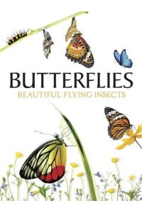 Butterflies Beautiful Flying Insects - Animals