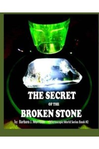 The Secret of the Broken Stone The Microscopic World Series Book 2