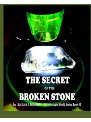 The Secret of the Broken Stone The Microscopic World Series Book 2