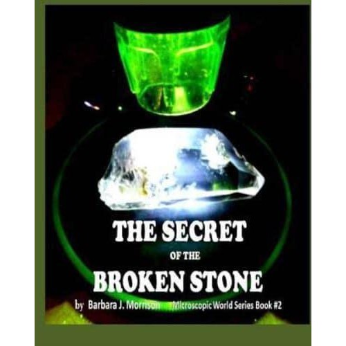 The Secret of the Broken Stone The Microscopic World Series Book 2