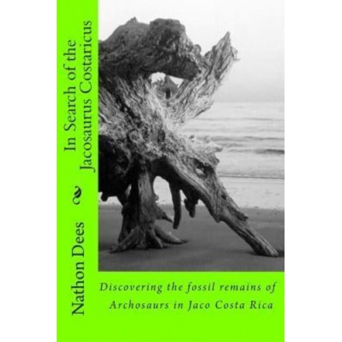 In Search of the Jacosaurus Costaricus Discovering the Fossil Remains of Archosaurs in Jaco Costa Rica