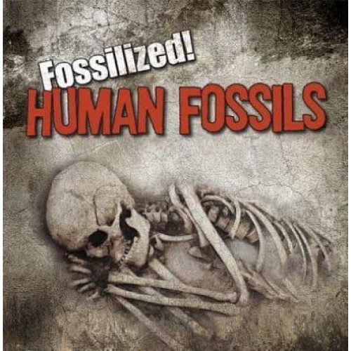 Human Fossils - Fossilized!