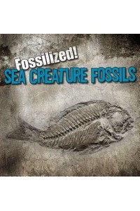 Sea Creature Fossils - Fossilized!