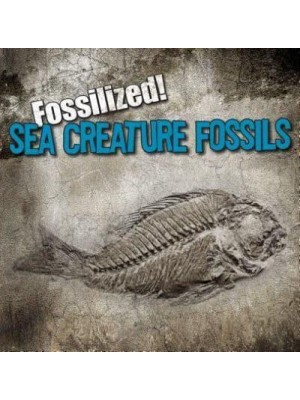 Sea Creature Fossils - Fossilized!