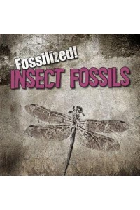 Insect Fossils - Fossilized!