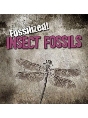Insect Fossils - Fossilized!