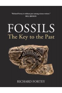 Fossils The Key to the Past