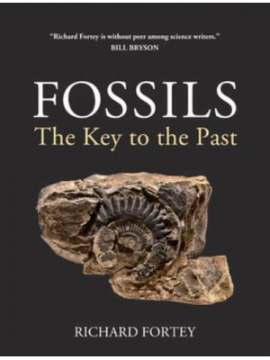 Fossils The Key to the Past