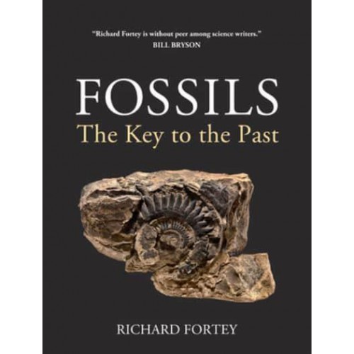 Fossils The Key to the Past