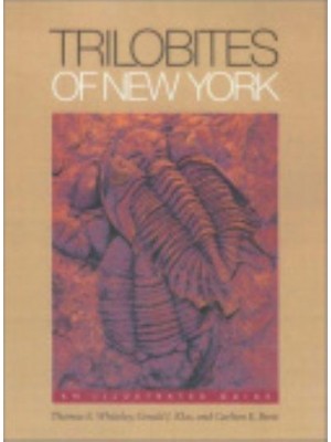 Trilobites of New York An Illustrated Guide