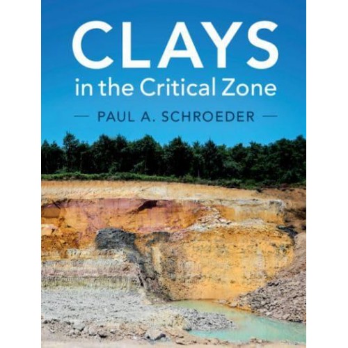 Clays in the Critical Zone