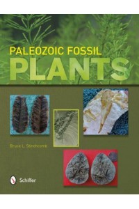 Paleozoic Fossil Plants
