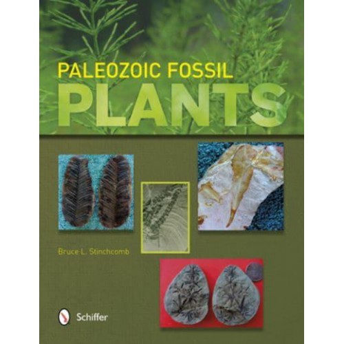Paleozoic Fossil Plants