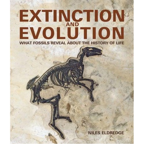 Extinction and Evolution What Fossils Reveal About the History of Life