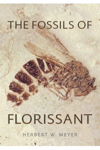 The Fossils of Florissant