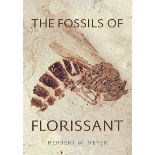 The Fossils of Florissant
