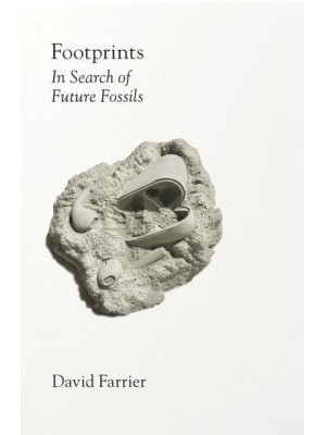 Footprints In Search of Future Fossils