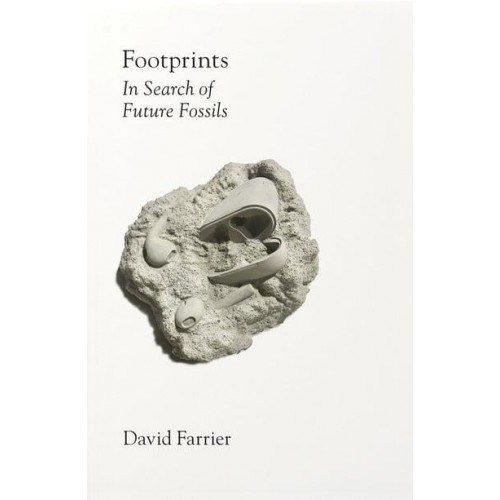 Footprints In Search of Future Fossils