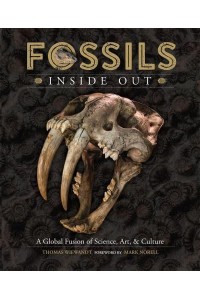 Fossils Inside Out A Global Fusion of Science, Art and Culture