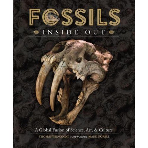 Fossils Inside Out A Global Fusion of Science, Art and Culture