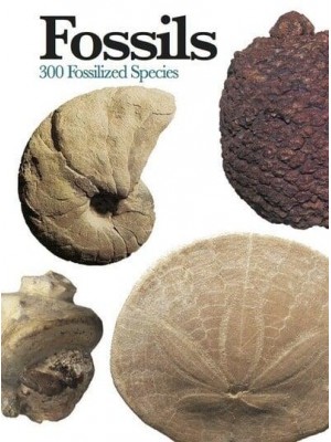 Fossils 300 Fossilized Species - Mini Encyclopedia