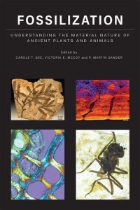 Fossilization Understanding the Material Nature of Ancient Plants and Animals