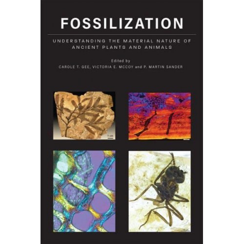 Fossilization Understanding the Material Nature of Ancient Plants and Animals