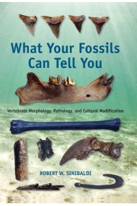 What Your Fossils Can Tell You Vertebrate Morphology, Pathology, and Cultural Modification