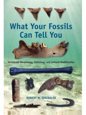 What Your Fossils Can Tell You Vertebrate Morphology, Pathology, and Cultural Modification