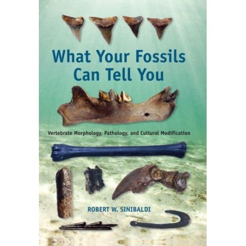 What Your Fossils Can Tell You Vertebrate Morphology, Pathology, and Cultural Modification