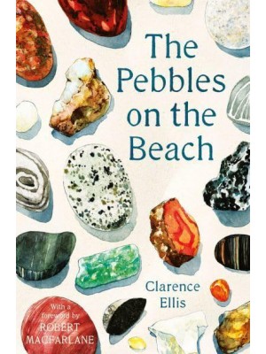 The Pebbles on the Beach A Spotter's Guide