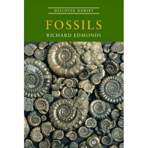 Fossils - Discover Dorset