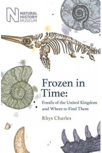 Frozen in Time Fossils of Great Britain and Where to Find Them