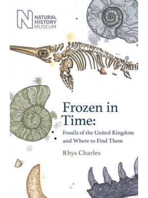 Frozen in Time Fossils of Great Britain and Where to Find Them